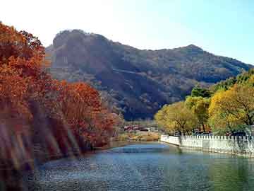 新澳天天开奖资料大全旅游团，泗水seo程序